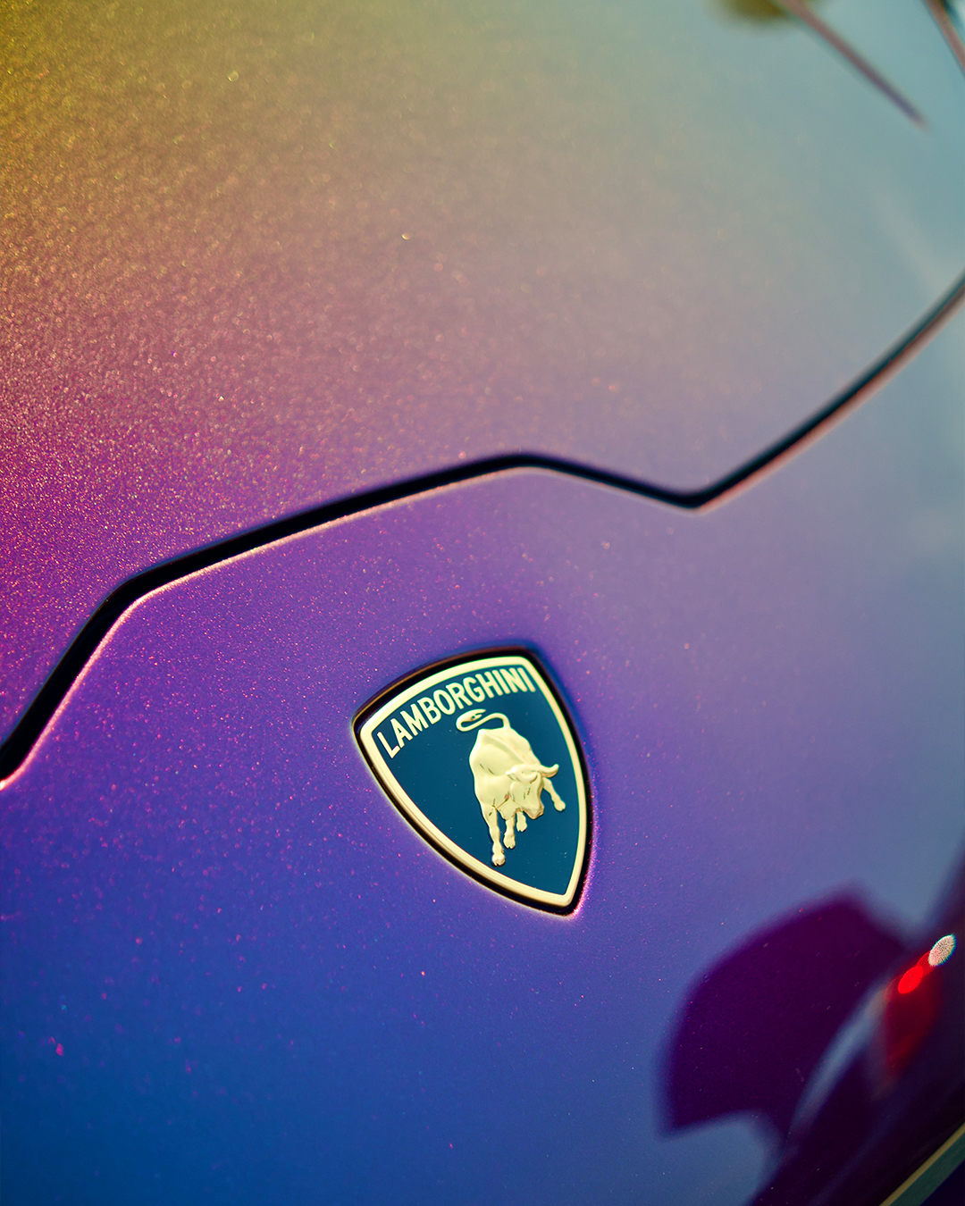 lambo 7